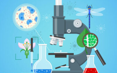 Artigo 2°: Biologia e suas characteristics.